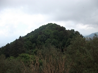 nte Rinatu-20110615 075